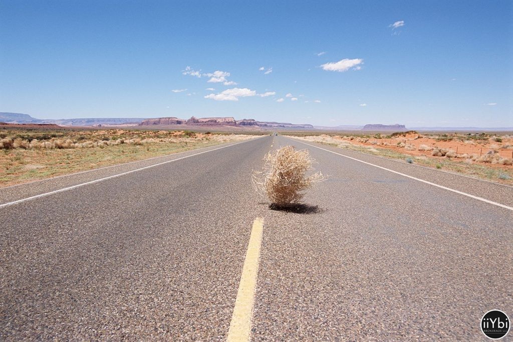 Cars Get Trapped in Tumbleweed iiYbi